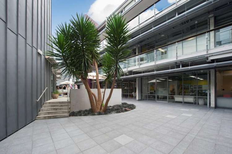 23 Edwin Street Mount Eden_11