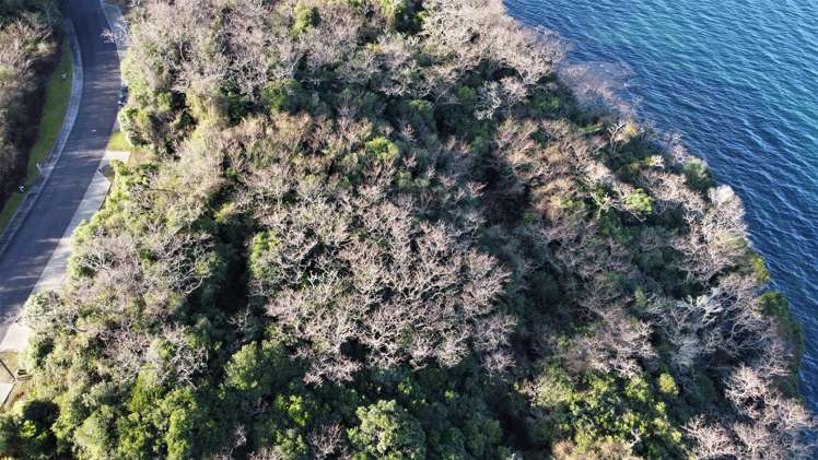 75 Parawera Drive Acacia Bay_8