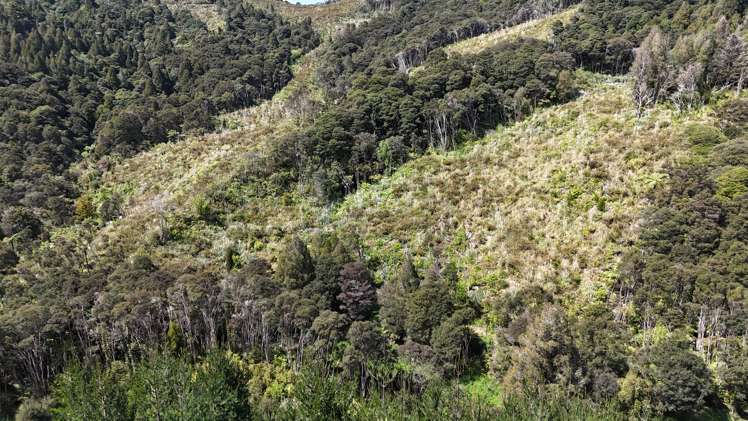 Otangaroa Side Road Kaeo_10