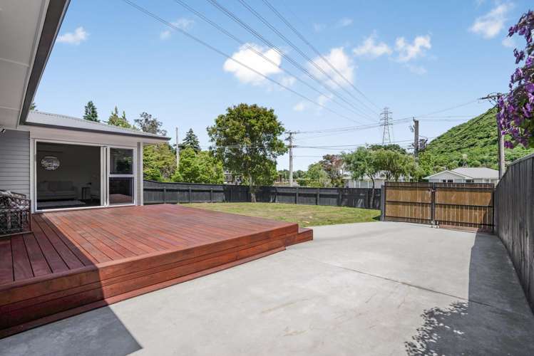 61 Black Beech Street Birchville_19