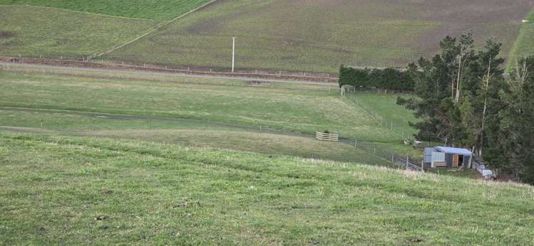 74 Esler Road Pleasant Point_12