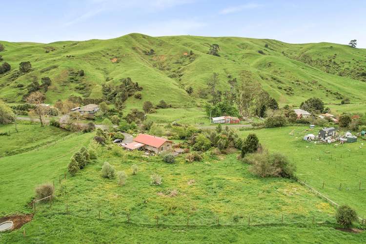 702 Tahuroa Road Morrinsville_24