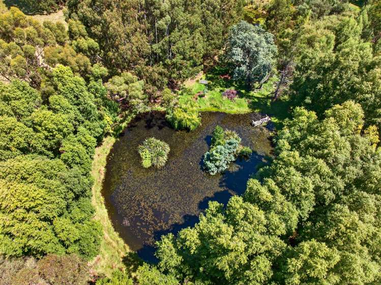 869 Norfolk Road Carterton_33