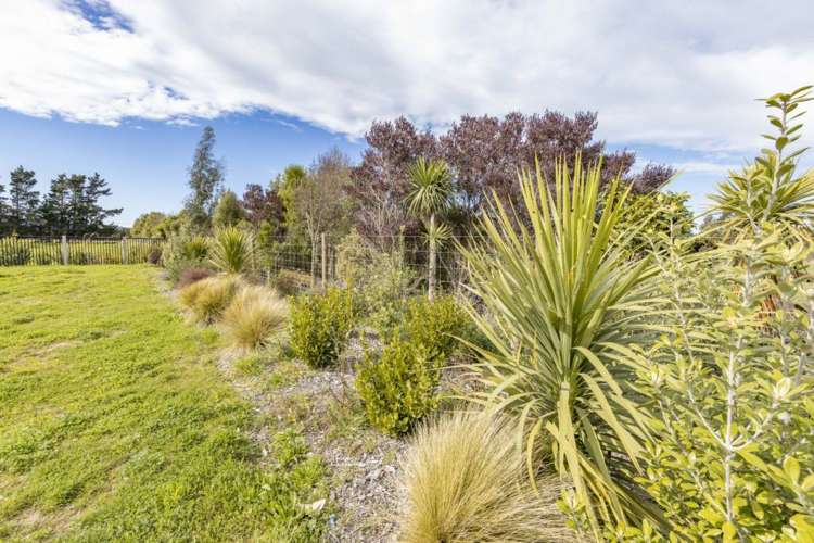 53A Greig Crescent Amberley_3