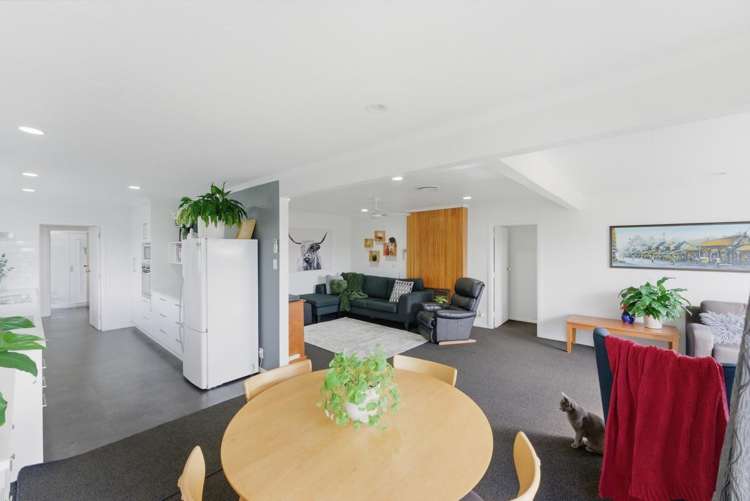 327 Carrington Street Vogeltown_6