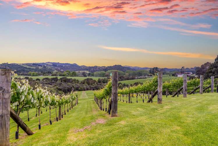 61A Whitford Park Road Whitford_12