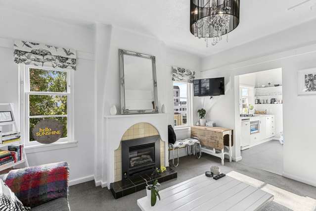 8/4 Oak Park Avenue Te Aro_2