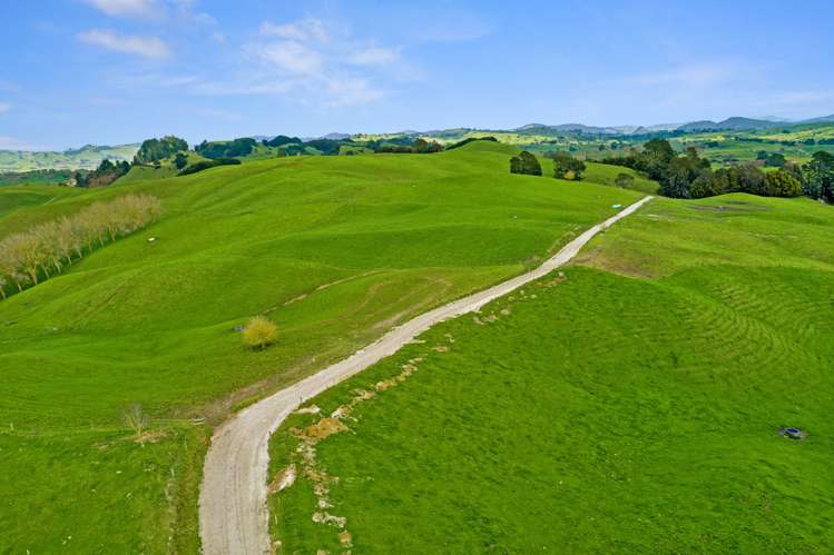 385 Whirinaki Valley Road Ngakuru_16