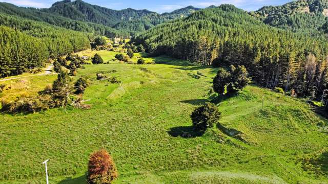 Okaihae Road Taumarunui_2