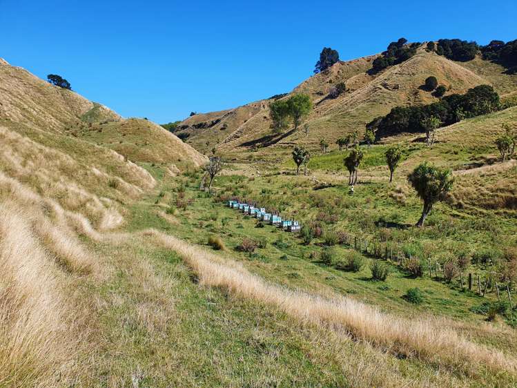 386 State Highway 4 Upokongaro_15