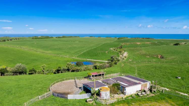 2585 South Road Otakeho_17