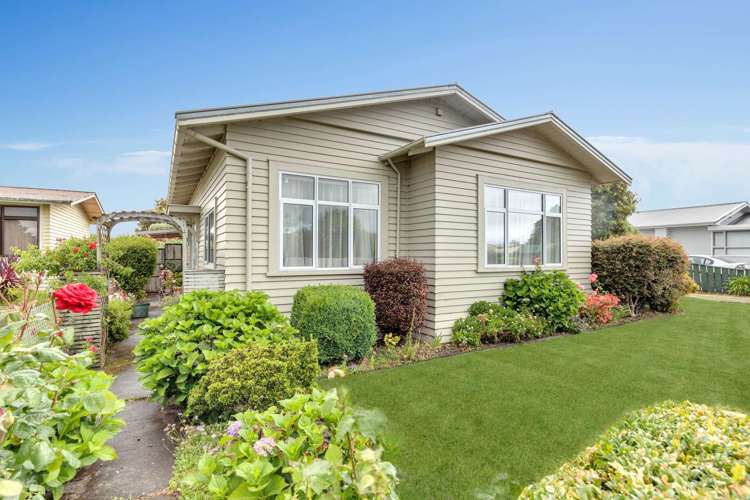 45 Miller Street Dannevirke_3