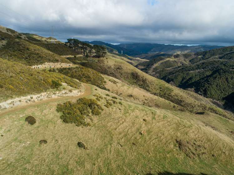 200 Parkvale Road Wilton_15