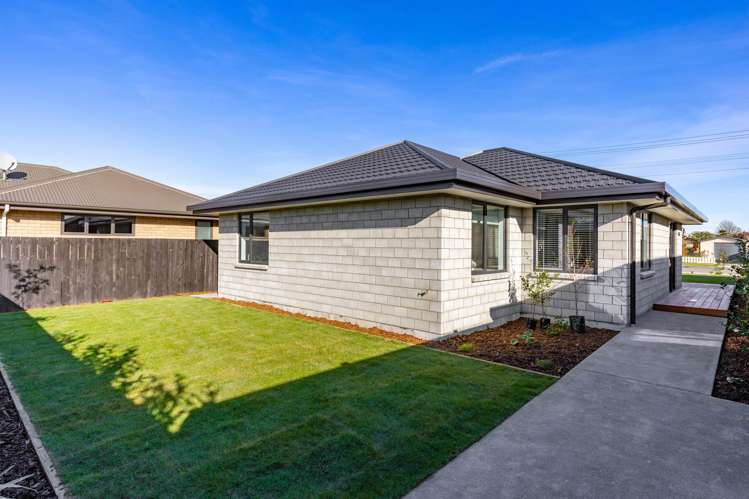 259A Scott Street Redwoodtown_22