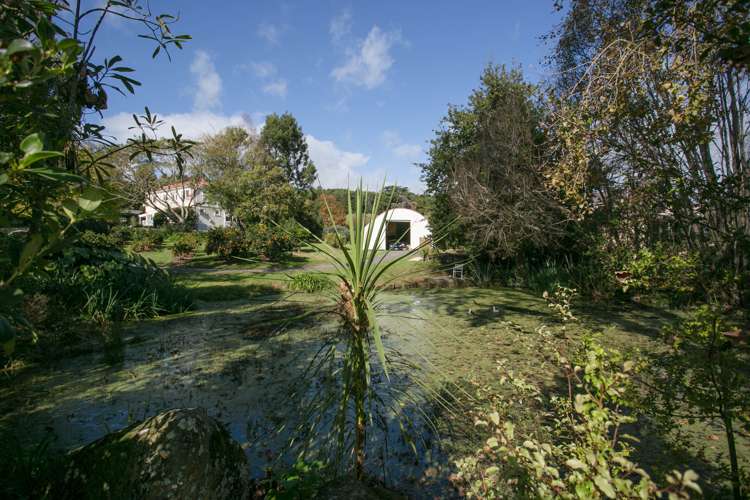 36 Totara Valley Road Thames_6