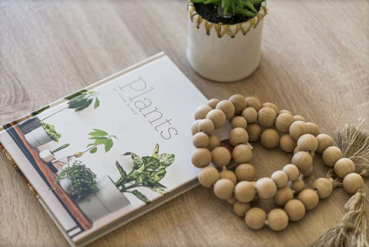 45a Harrier Street Parkvale_7