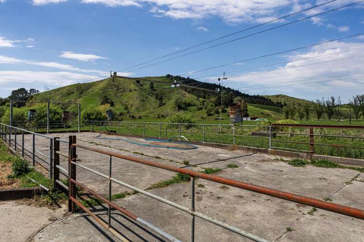 2338 State Highway 2 Opotiki_21