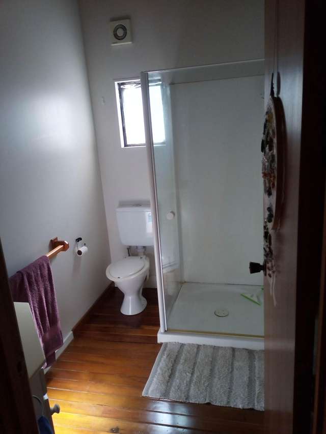 12 Walker Road Henderson Valley_4