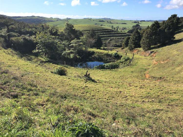 539 Martin Road Kaeo_12