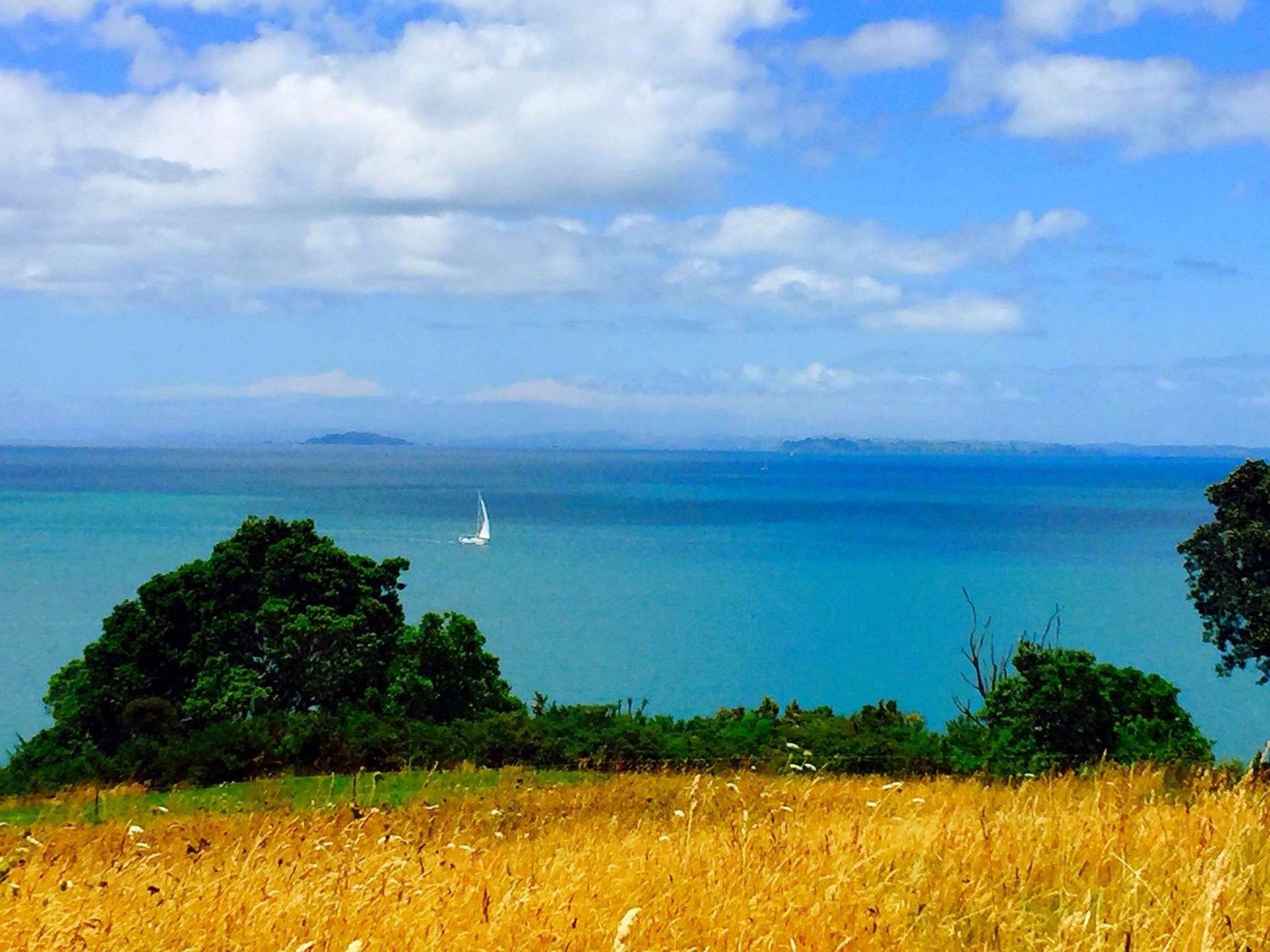 341 Pinecrest Drive Gulf Harbour_0