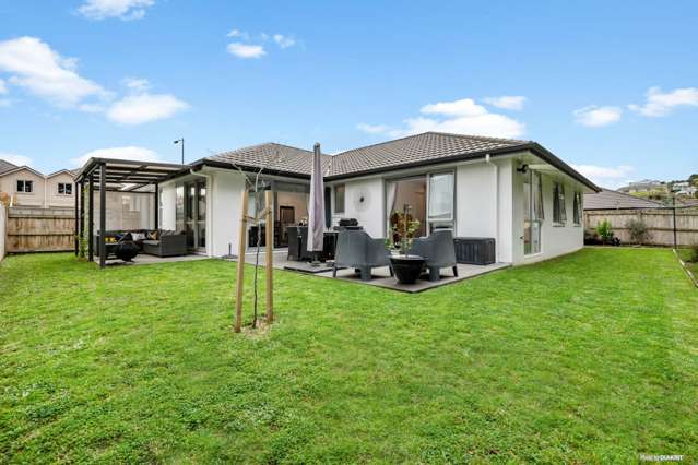 20 Lisle Farm Drive Pukekohe_1