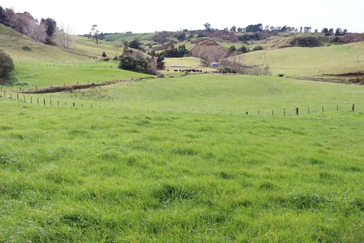 385 Wortley Road Lepperton_2