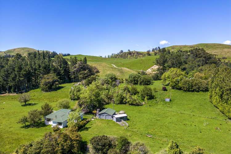 21 Carson Road Ongaonga_25