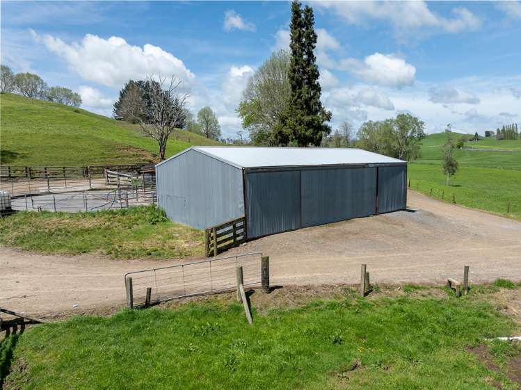 Lot 3/517 State Highway 1 Tirau_8