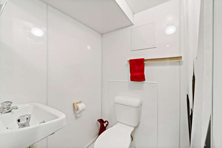 24 Carlton Street Hillsborough_17