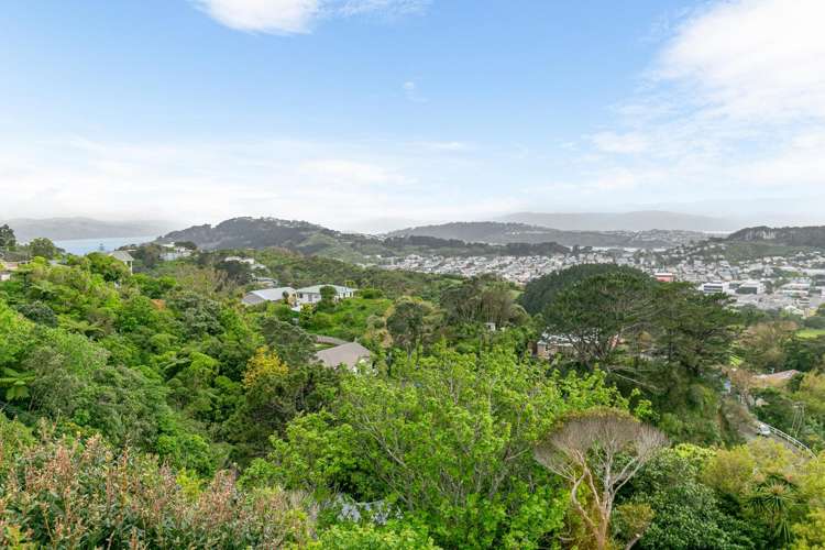 90 Farnham Street Mornington_20