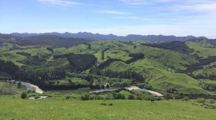 460 Tora Road Tora_1