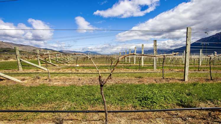 4816 State Highway 63 Wairau Valley_10