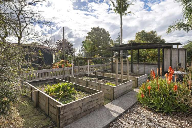 802 Tuhikaramea Road Ngahinapouri_12