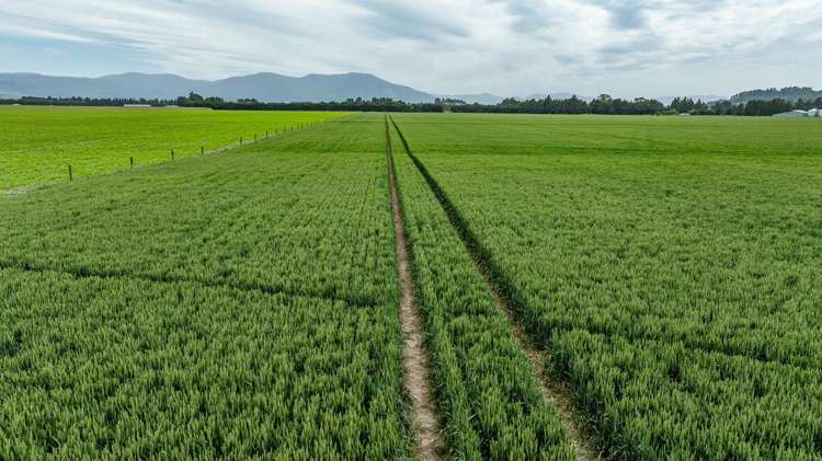 190 Bennetts Road Cust_7