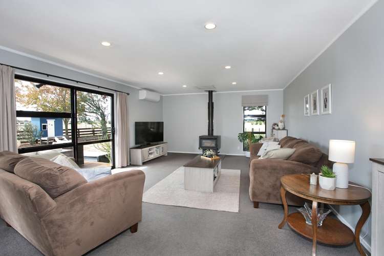 455b State Highway 1 Bulls_11