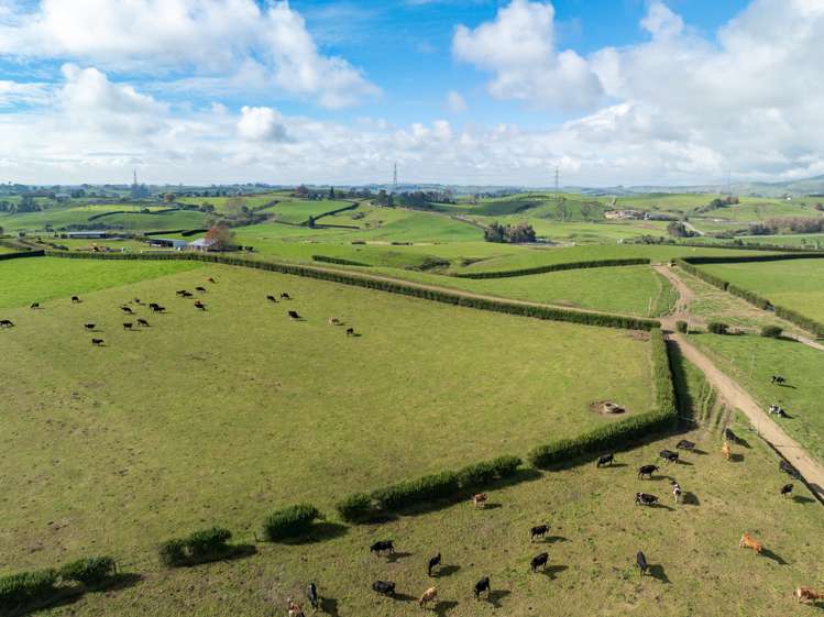 376 Starkey Road Morrinsville_24