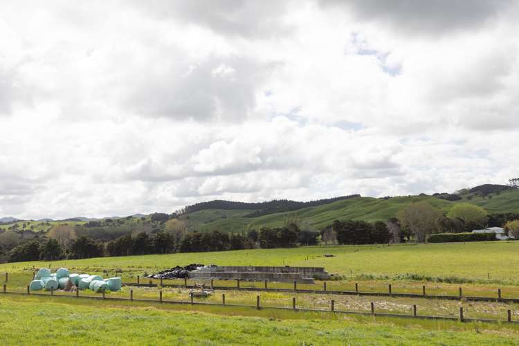 1557 Waihue Road Dargaville Surrounds_17