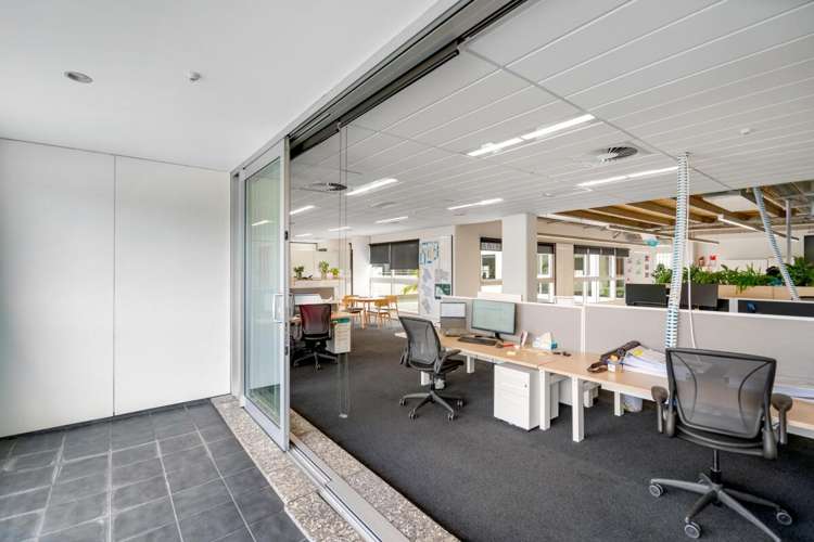 7 Falcon Street Parnell_5