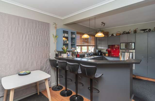 87 Domain Avenue Kensington_4