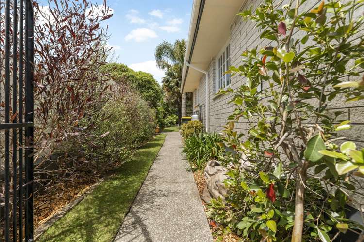 19A Beatty Avenue Te Puke_26