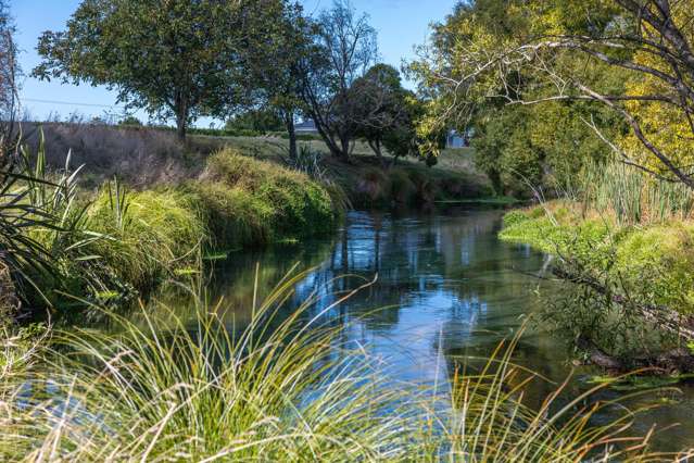 2154 State Highway 1 Spring Creek_2