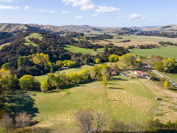 205 Caveland Road Te Whiti_18