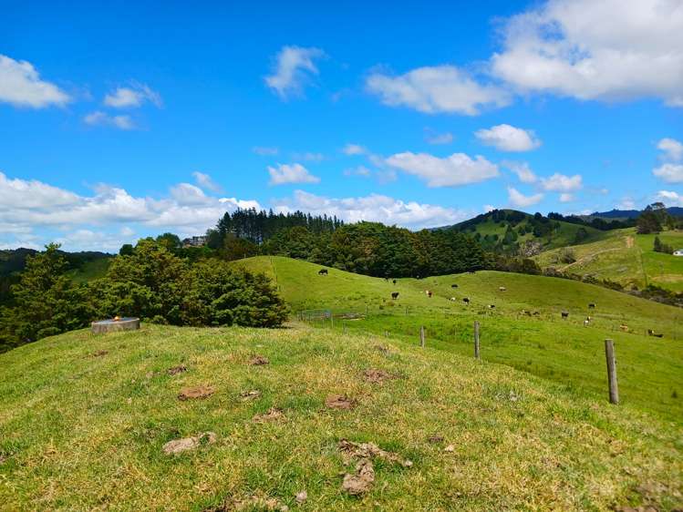 Lot 2 Otangaroa Road Kaeo_17