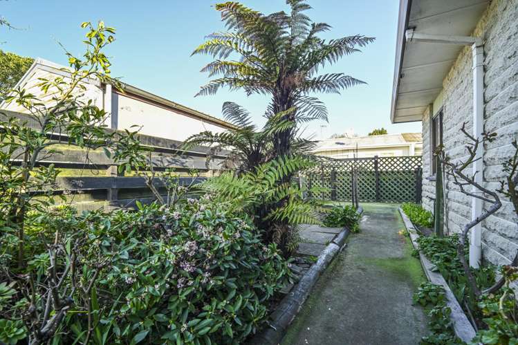 3/623 Frederick Street West Mahora_16