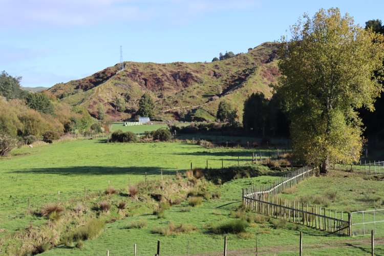 4869 Ohura Road Pohokura_15