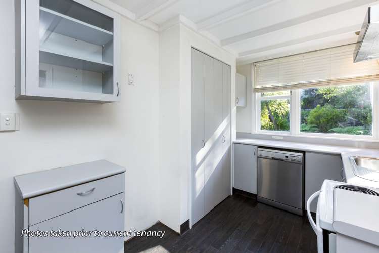 16 Akatarawa Road Brown Owl_9