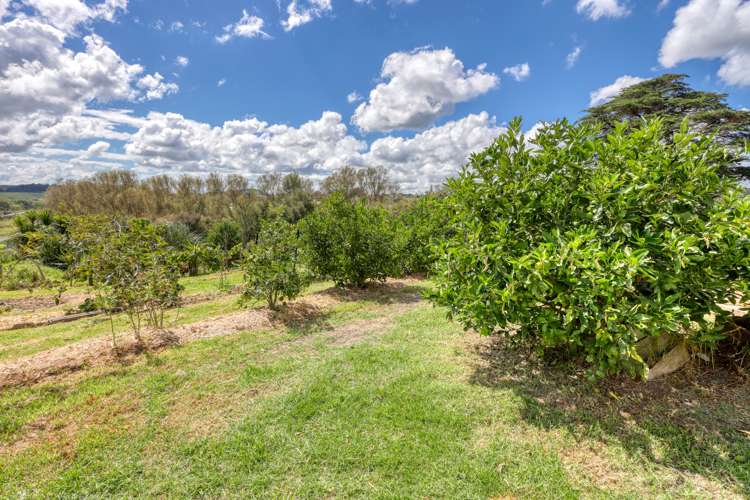 20 Lupis Way Kaiwaka_16