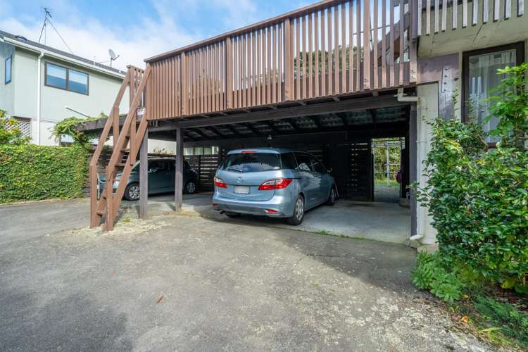 141J Churton Drive Churton Park_9