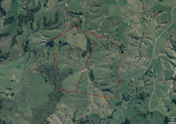 1798 Chapman Road Pukekawa_9