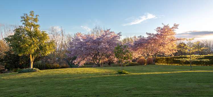 15 Josephine Place Te Kauwhata_41